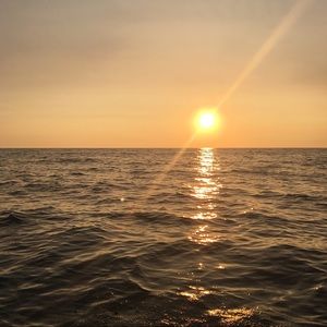 Meet your Posher, Madeline